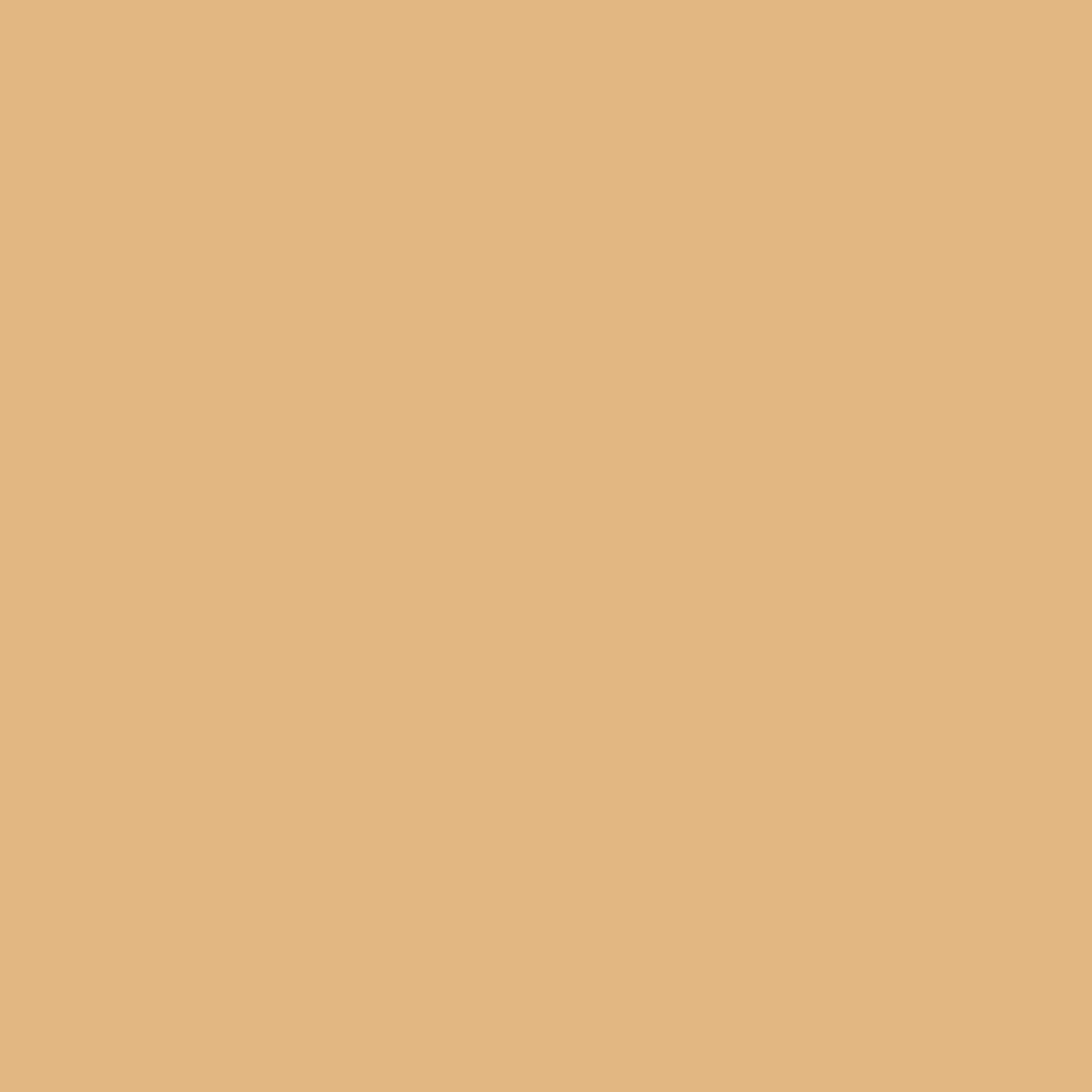Lychee Ultra-Sheer Pantyhose